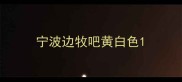宁波边牧吧黄白色