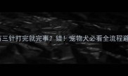 狂犬疫苗三针打完就完事错宠物犬必看全流程避坑指南