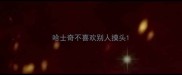 哈士奇不喜欢别人摸头