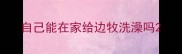 自己能在家给边牧洗澡吗