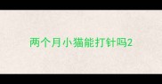 两个月小猫能打针吗