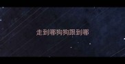 走到哪狗狗跟到哪