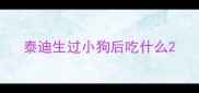 泰迪生过小狗后吃什么