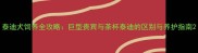 泰迪犬饲养全攻略巨型贵宾与茶杯泰迪的区别与养护指南
