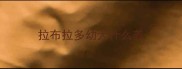 拉布拉多幼犬什么养