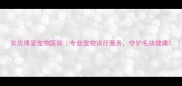 安庆博爱宠物医院专业宠物诊疗服务守护毛孩健康