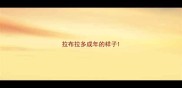 拉布拉多成年的样子