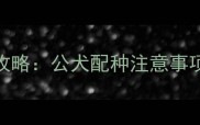 金毛犬配种全攻略公犬配种注意事项流程与禁忌