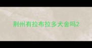 荆州有拉布拉多犬舍吗