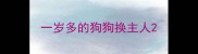 一岁多的狗狗换主人