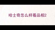 哈士奇怎么样看品相
