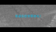 泰迪皮肤变黑掉毛