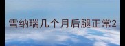 雪纳瑞几个月后腿正常