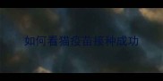 如何看猫疫苗接种成功