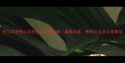 哈尔滨宠物火车托运全流程指南最新政策费用及安全注意事项