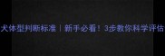 泰迪幼犬体型判断标准新手必看3步教你科学评估健康体态