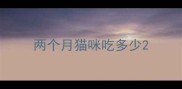 两个月猫咪吃多少