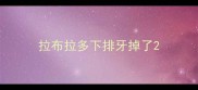 拉布拉多下排牙掉了