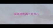 茶杯贵宾两个月大小