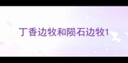丁香边牧和陨石边牧