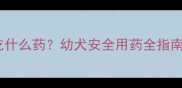 三个月大哈士奇能吃什么药幼犬安全用药全指南附用药禁忌表