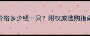 纯种灰泰迪价格多少钱一只附权威选购指南与饲养要点