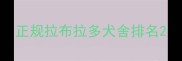 正规拉布拉多犬舍排名