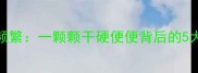 哈士奇幼犬腹泻频繁一颗颗干硬便便背后的5大诱因与应对指南