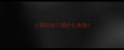 小狗拉肚子喂什么食物