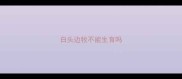 白头边牧不能生育吗
