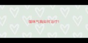 猫咪气胸如何治疗