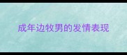 成年边牧男的发情表现