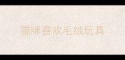 猫咪喜欢毛绒玩具