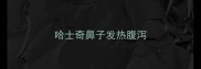 哈士奇鼻子发热腹泻