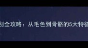 罗威纳犬纯种鉴别全攻略从毛色到骨骼的5大特征附真实对比图