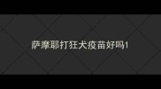 萨摩耶打狂犬疫苗好吗