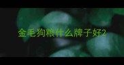 金毛狗粮什么牌子好