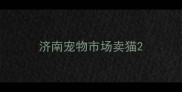 济南宠物市场卖猫