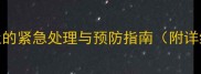 狗狗吃多呕吐的紧急处理与预防指南附详细急救清单