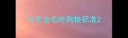 75天金毛吃狗粮标准