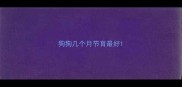 狗狗几个月节育最好