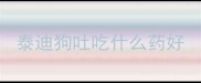泰迪狗吐吃什么药好