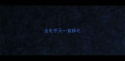 金毛冬天一直掉毛