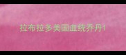 拉布拉多美国血统乔丹