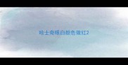 哈士奇眼白颜色微红
