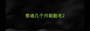 泰迪几个月剃胎毛
