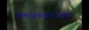 拉布拉多会不会叫