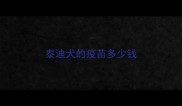 泰迪犬的疫苗多少钱