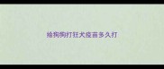 给狗狗打狂犬疫苗多久打
