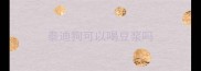 泰迪狗可以喝豆浆吗